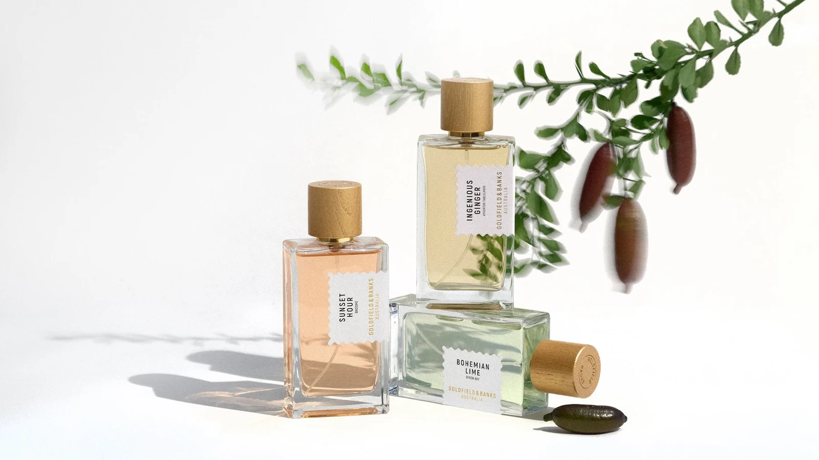 Goldfield & Banks and the Scents of Australia